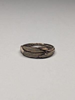 p1-1428.jpg